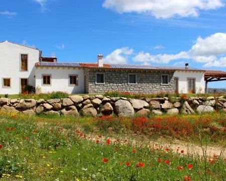 Tenute Testoni Agriturismo E B&B Bassacutena Eksteriør bilde