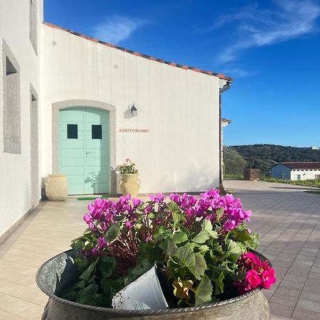 Tenute Testoni Agriturismo E B&B Bassacutena Eksteriør bilde