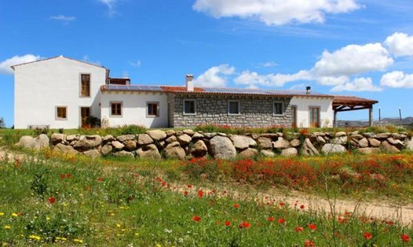Tenute Testoni Agriturismo E B&B Bassacutena Eksteriør bilde