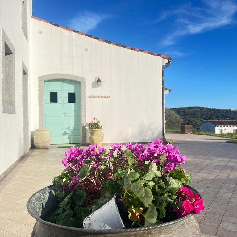 Tenute Testoni Agriturismo E B&B Bassacutena Eksteriør bilde